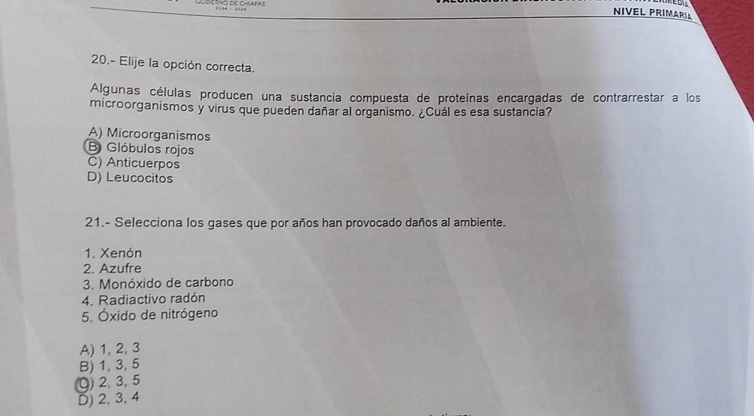 ubierño de Chiapas
NIVEL PRIMARIA
20.- Elije la opción correcta.
Algunas células producen una sustancia compuesta de proteínas encargadas de contrarrestar a los
microorganismos y virus que pueden dañar al organismo. ¿Cuál es esa sustancia?
A) Microorganismos
B Glóbulos rojos
C) Anticuerpos
D) Leucocitos
21.- Selecciona los gases que por años han provocado daños al ambiente.
1. Xenón
2. Azufre
3. Monóxido de carbono
4. Radiactivo radón
5. Óxido de nitrógeno
A) 1, 2, 3
B) 1, 3, 5
O) 2, 3, 5
D) 2, 3, 4