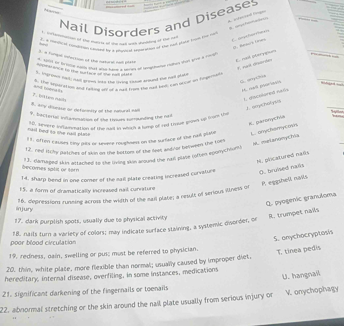 OISORDER
indicate surface stainiog
Discolered nall
Name
dio 
Nail Disorders and Diseases
A infected finger
B. onychomadesis
Pinsãe nast
C. anychorrhexis
1 inflammation of the matrix of the nail with shedding of the nail
2. a medical condition caused by a physical separation of the nail plate from the nai
bed
D. Beau's lines
Plicatured nail
3. a fungal infection of the natural nail plate
E. nail pterygium
4. split or brittle nails that also have a series of lengthwise ridhes that give a rough
F. nail disorder
appearance to the surface of the nail plate
5. ingrown nail; nail grows into the living tissue around the nail plate
G. onychia
6. the separation and falling off of a nail from the nail bed; can occur on fingernails
and toenails
H. nail psoriasis
Ridged nall
7. bitten nails
1. discolored nails
8. any disease or deformity of the natural nail
J. onycholysis
Splint
9. bacterial inflammation of the tissues surrounding the nai hem
K. paronychia
10, severe inflammation of the nail in which a lump of red tissue grows up from the
nail bed to the nail plate
L. onychomycosis
_
11. often causes tiny pits or severe roughness on the surface of the nail plate
12. red itchy patches of skin on the bottom of the feet and/or between the toes
M. melanonychia
13. damaged skin attached to the living skin around the nail plate (often eponychium)
N. plicatured nails
becomes split or torn
14. sharp bend in one corner of the nail plate creating increased curvature
O. bruised nails
P. eggshell nails
15. a form of dramatically increased nail curvature
16. depressions running across the width of the nail plate; a result of serious illness or
Q. pyogenic granuloma
injury
17. dark purplish spots, usually due to physical activity
R. trumpet nails
18. nails turn a variety of colors; may indicate surface staining, a systemic disorder, or
poor blood circulation
S. onychocryptosis
19. redness, oain, swelling or pus; must be referred to physician.
T. tinea pedis
20. thin, white plate, more flexible than normal; usually caused by improper diet,
hereditary, internal disease, overfiling, in some instances, medications
U. hangnail
21. significant darkening of the fingernails or toenails
22. abnormal stretching or the skin around the nail plate usually from serious injury or V. onychophagy