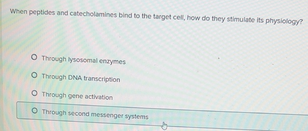 Solved: When peptides and catecholamines bind to the target cell, how ...