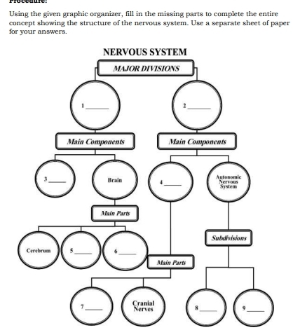 Using the given graphic organizer, fill in the missing parts to complete the entire 
concept showing the structure of the nervous system. Use a separate sheet of paper 
for your answers.