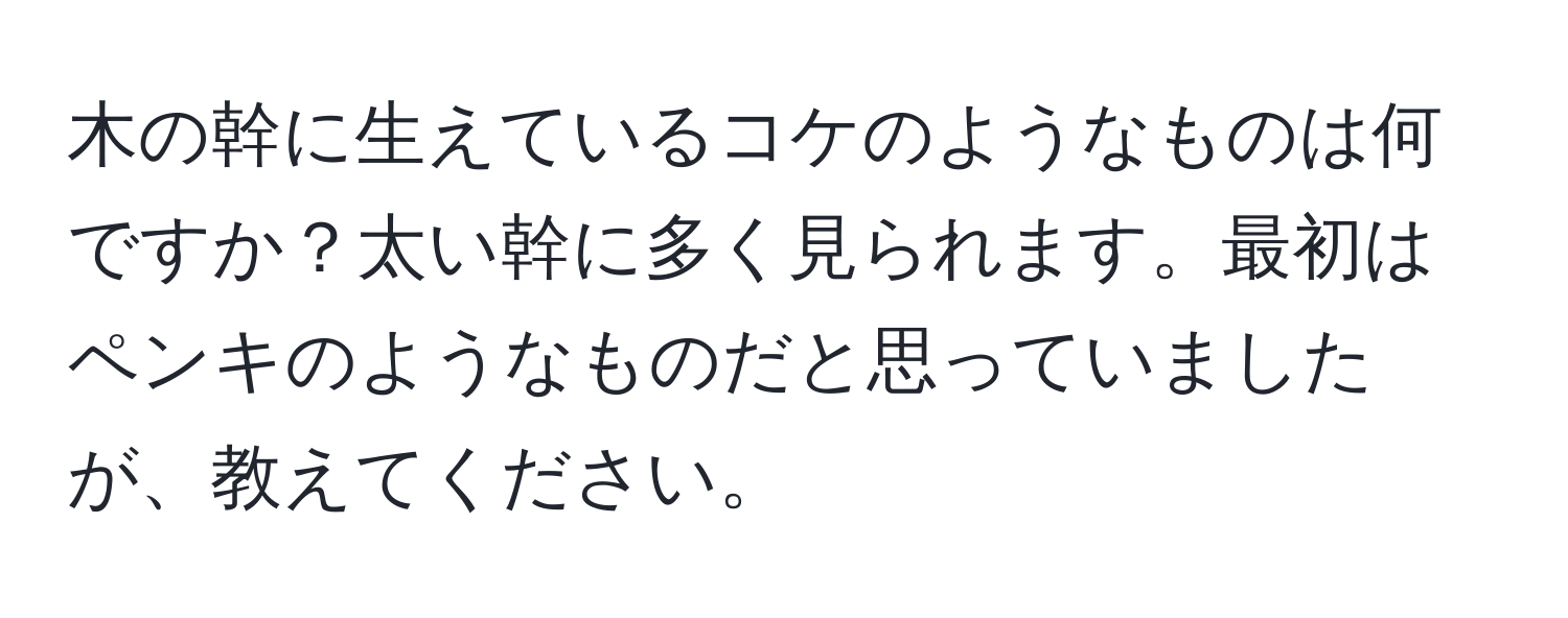 木の幹に生えているコケのようなものは何ですか？太い幹に多く見られます。最初はペンキのようなものだと思っていましたが、教えてください。