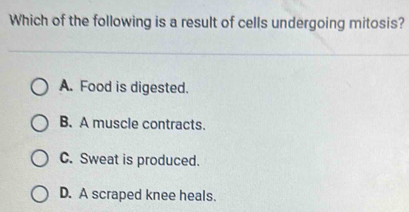 Which of the following is a result of cells undergoing mitosis?
A. Food is digested.
B. A muscle contracts.
C. Sweat is produced.
D. A scraped knee heals.