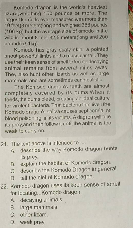 Komodo dragon is the world's heaviest
lizard,weighing 150 pounds or more. The
largest komodo ever measured was more than
10 feet (3 meters)long and weighed 366 pounds
(166 kg) but the average size of omodo in the
wild is about 8 feet 92.5 meters)long and 200
pounds (91kg)
Komodo has gray scaly skin, a pointed
snout,powerful limbs and a muscular tail. They
use their keen sense of smell to locate decaying
animal remains from several miles away.
They also hunt other lizards as well as large
mammals and are sometimes cannibalistic.
The Komodo dragon's teeth are almost
completely covered by its gums When it
feeds,the gums bleed, creating an ideal culture
for virulent bacteria. That bacteria that live i the
Komodo dragon's saliva causes septicemia, or
blood poisoning, in its victims. A dagron will bite
its prey,and then follow it until the animal is too
weak to carry on.
21. The text above is intended to ....
A. describe the way Komodo dragon hunts
its prey.
B. explain the habitat of Komodo dragon.
C. describe the Komodo Dragon in general.
D. tell the diet of Komodo dragon.
22. Komodo dragon uses its keen sense of smell
for locating...Komodo dragon.
A. decaying animals
B. large mammals
C. other lizard.
D. weak prey