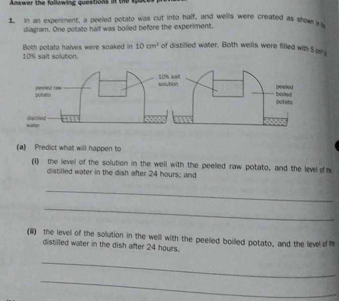 Answer the following questions in the space 
1. In an experiment, a peeled potato was cut into half, and wells were created as shown in 
diagram. One potato half was boiled before the experiment. 
Both potato halves were soaked in 10cm^3 of distilled water. Both wells were filled with 5cm^2d
10% salt solution. 
(a) Predict what will happen to 
(i) the level of the solution in the well with the peeled raw potato, and the level of th 
distilled water in the dish after 24 hours; and 
_ 
_ 
(ii) the level of the solution in the well with the peeled boiled potato, and the level of the 
distilled water in the dish after 24 hours. 
_ 
_