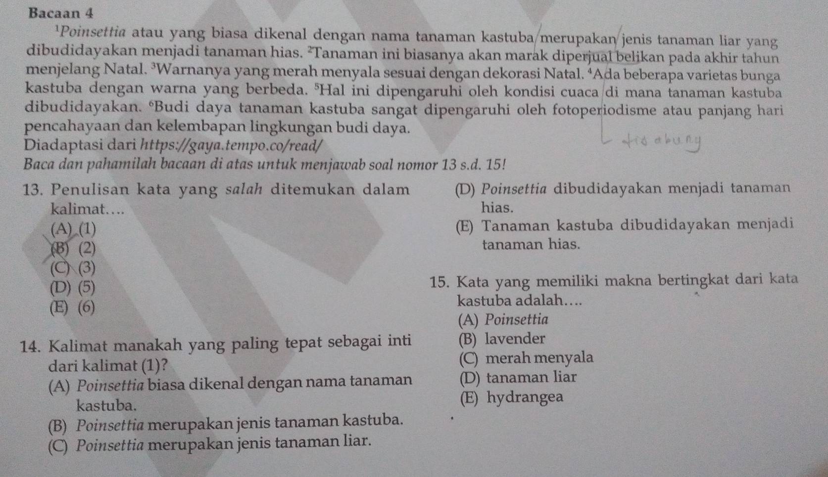 Bacaan 4
¹Poinsettia atau yang biasa dikenal dengan nama tanaman kastuba merupakan jenis tanaman liar yang
dibudidayakan menjadi tanaman hias. ²Tanaman ini biasanya akan marak diperjual belikan pada akhir tahun
menjelang Natal. ³Warnanya yang merah menyala sesuai dengan dekorasi Natal. ªAda beberapa varietas bunga
kastuba dengan warna yang berbeda. "Hal ini dipengaruhi oleh kondisi cuaca di mana tanaman kastuba
dibudidayakan. Budi daya tanaman kastuba sangat dipengaruhi oleh fotoperiodisme atau panjang hari
pencahayaan dan kelembapan lingkungan budi daya.
Diadaptasi dari https://gaya.tempo.co/read/
Baca dan pahamilah bacaan di atas untuk menjawab soal nomor 13 s.d. 15!
13. Penulisan kata yang salah ditemukan dalam (D) Poinsettia dibudidayakan menjadi tanaman
kalimat…. hias.
(A) (1) (E) Tanaman kastuba dibudidayakan menjadi
(B) (2) tanaman hias.
(C) (3)
(D) (5) 15. Kata yang memiliki makna bertingkat dari kata
(E) (6) kastuba adalah…...
(A) Poinsettia
14. Kalimat manakah yang paling tepat sebagai inti (B) lavender
dari kalimat (1)? (C) merah menyala
(A) Poinsettia biasa dikenal dengan nama tanaman (D) tanaman liar
kastuba. (E) hydrangea
(B) Poinsettia merupakan jenis tanaman kastuba.
(C) Poinsettia merupakan jenis tanaman liar.