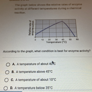 The graph below shows the relative rates of enzyme
activity at different temperatures during a chemical
reaction.
Temperature (^circ C)
According to the graph, what condition is best for enzyme activity?
A. A temperature of about 40 C
B. A temperature above 45°C
C. A temperature of about 10°C
D. A temperature below 35°C