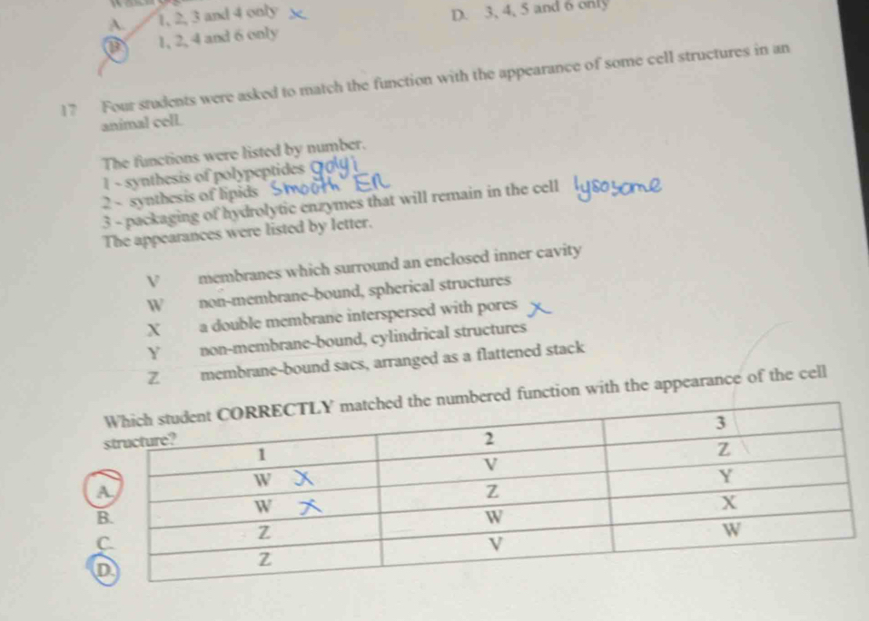 A. 1, 2, 3 and 4 only
D. 3, 4, 5 and 6 only
a 1, 2, 4 and 6 only
17 Four students were asked to match the function with the appearance of some cell structures in an
animal cell.
The functions were listed by number.
1 synthesis of polypeptides 
2 - synthesis of lipids 
3 - packaging of hydrolytic enzymes that will remain in the cell
The appearances were listed by letter.
V membranes which surround an enclosed inner cavity
W non-membrane-bound, spherical structures
X a double membrane interspersed with pores
Y₹ non-membrane-bound, cylindrical structures
Z membrane-bound sacs, arranged as a flattened stack
mbered function with the appearance of the cell