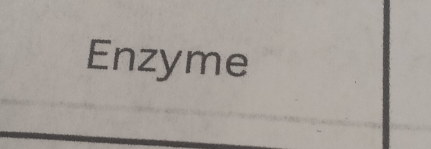 Enzyme