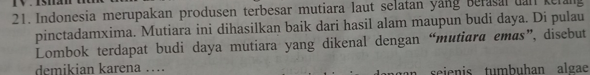 Indonesia merupakan produsen terbesar mutiara laut selatan yang berasal uan kelang 
pinctadamxima. Mutiara ini dihasilkan baik dari hasil alam maupun budi daya. Di pulau 
Lombok terdapat budi daya mutiara yang dikenal dengan “mutiara emas”, disebut 
demikian karena … 
seienis tumbuhan algae