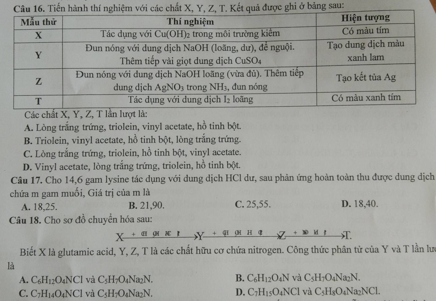 ành thí nghiệm với các chất X, Y, Z, T. Kết quả được ghi ở bảng sau:
Các chất X, Y, Z, T lần lượt là:
A. Lòng trắng trứng, triolein, vinyl acetate, hồ tinh bột.
B. Triolein, vinyl acetate, hồ tinh bột, lòng trắng trứng.
C. Lòng trắng trứng, triolein, hồ tinh bột, vinyl acetate.
D. Vinyl acetate, lòng trắng trứng, triolein, hồ tinh bột.
Câu 17. Cho 14,6 gam lysine tác dụng với dung dịch HCl dư, sau phản ứng hoàn toàn thu được dung dịch
chứa m gam muối, Giá trị của m là
A. 18,25. B. 21,90. C. 25,55. D. 18,40.
Câu 18. Cho sơ đồ chuyển hóa sau:
X +CH Y + G  H C + A.
Biết X là glutamic acid, Y, Z, T là các chất hữu cơ chứa nitrogen. Công thức phân tử của Y và T lần lưc
là
A. C_6H_12O_4NCl và C_5H_7O_4Na_2N. B. C_6H_12O_4N và C_5H_7O_4Na_2N.
C. C_7H_14O_4NCl và C_5H_7O_4Na_2N. D. C_7H_15O_4NCl và C_5H_8O_4Na_2NCl.