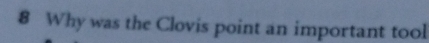 Why was the Clovis point an important tool