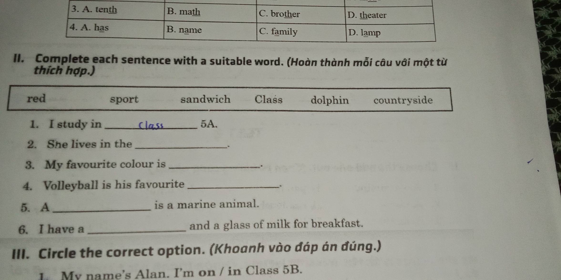 Complete each sentence with a suitable word. (Hoàn thành mỗi câu với một từ
thích hợp.)
red sport sandwich Class dolphin countryside
1. I study in 5A.
2. She lives in the_
.
3. My favourite colour is_
.
4. Volleyball is his favourite_ .
5. A_ is a marine animal.
6. I have a _and a glass of milk for breakfast.
III. Circle the correct option. (Khoanh vào đáp án đúng.)
1 My name’s Alan. I’m on / in Class 5B.