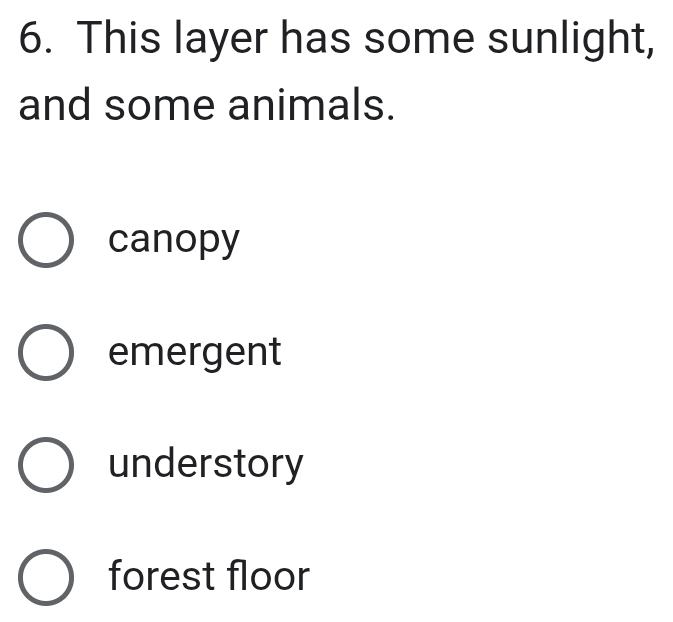 This layer has some sunlight,
and some animals.
canopy
emergent
understory
forest floor