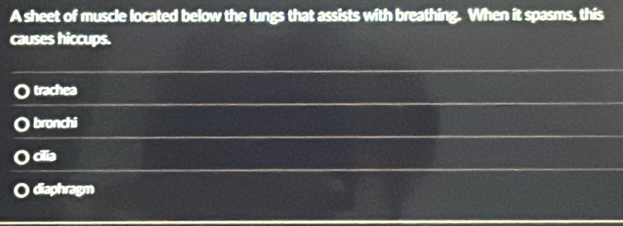 A sheet of muscle located below the lungs that assists with breathing. When it spasms, this
causes hiccups.
trachea
bronchi
cilia
diaphragm