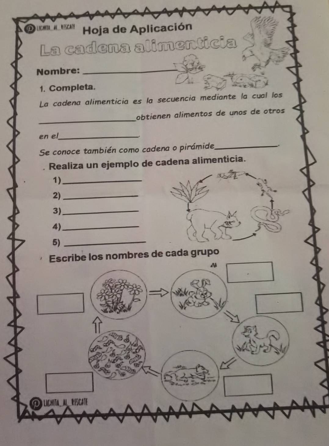 1 0 lichita a _ réscaté Hoja de Aplicación 
La cadena alimenticia 
Nombre:_ 
1. Completa. 
La cadena alimenticia es la secuencia mediante la cual los 
_ 
obtienen alimentos de unos de otros 
en el_ 
Se conoce también como cadena o pirámide_ 
. 
Realiza un ejemplo de cadena alimenticia. 
1)_ 
2)_ 
3)_ 
4)_ 
5)_ 
Escribe los nombres de cada grupo