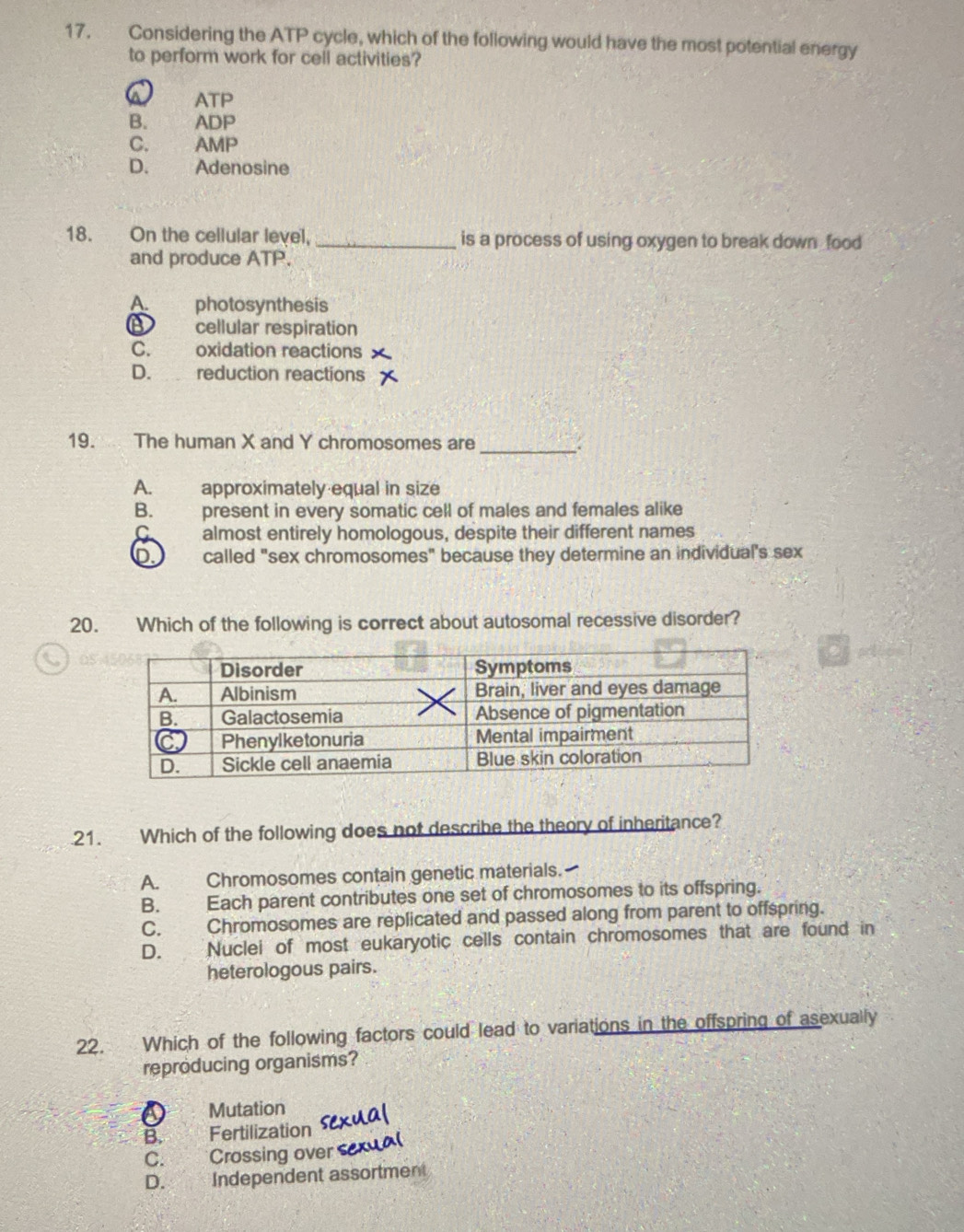 Considering the ATP cycle, which of the following would have the most potential energy
to perform work for cell activities?
a ATP
B. ADP
C. AMP
D. Adenosine
18. On the cellular level, _is a process of using oxygen to break down _food
and produce ATP.
A. photosynthesis
B cellular respiration
C. oxidation reactions
D. reduction reactions
19. The human X and Y chromosomes are_
A. approximately equal in size
B. present in every somatic cell of males and females alike
C almost entirely homologous, despite their different names
D called "sex chromosomes" because they determine an individual's sex
20. Which of the following is correct about autosomal recessive disorder?
21. Which of the following does not describe the theory of inheritance?
A. Chromosomes contain genetic materials.
B. Each parent contributes one set of chromosomes to its offspring.
C. Chromosomes are replicated and passed along from parent to offspring.
D. Nuclei of most eukaryotic cells contain chromosomes that are found in
heterologous pairs.
22. Which of the following factors could lead to variations in the offspring of asexually
reproducing organisms?
Mutation
B. Fertilization
C. Crossing over
D. Independent assortment