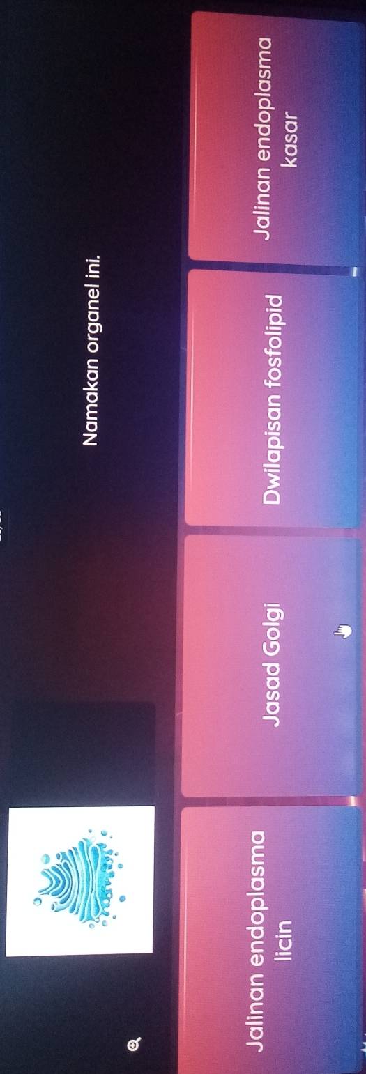 Selesai:Namakan organel ini. Q Jalinan endoplasma Jalinan endoplasma Jasad  Golgi Dwilapisan fos