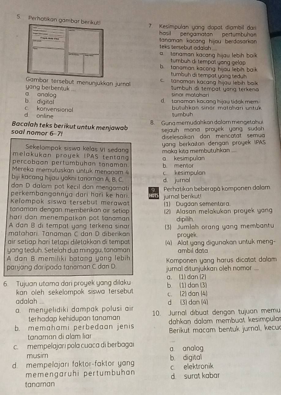 Perhatikan gambar berikut!
7 Kesimpulan yang dapat diambil dari
hasil  pengamatan pertumbuhan
Fpek A 4A3
tanaman kacang hijau berdasarkan .
teks tersebut adalah _
a  tanaman kacang hijau lebih baik 
tumbuh di tempat yang gelap
b. tanaman kacang hijau lebih baik
tumbuh di tempat yang teduh
Gambar tersebut menunjukkan jurnal .tanaman kacang hijau lebih baik 
yang berbentuk tumbuh di tempat yang terkena
a analog sinar matahari
b digital d. tanaman kacang hijau tidak mem
c. konvensional butuhkan sinar matahari untuk
d online tumbuh
Bacalah teks berikut untuk menjawab 8. Guna memudahkan dalam mengetahui
soal nomor 6-7!
sejauh mana proyek yang sudah 
diselesaikan dan mencatat semu
yang berkaitan dengan proyek IPAS
Sekelompok siswa kelas VI sedang
maka kita membutuhkan ....
melakukan proyek IPAS tentan a kesimpulan
percobaan pertumbuhan tanaman. b. mentor
Mereka memutuskan untuk menanam 4 c kesimpulan
biji kacang hijau yakni tanaman A, B, C. d. jurnal
dan D dalam pot kecil dan mengamati 9 Perhatikan beberapå komponen dalam
perkembangannya dari harì ke hari. HOTS jurnal berikut!
Kelompok siswa tersebut merawat (1) Dugdan sementara.
tanaman dengan memberikan air setiap 2) Alasan melakukan proyek yan
hari dan menempatkan pot tanaman . dipilih.
A dan B di tempat yang terkena sinar (3) Jumlah orang yang membantu
matahari. Tänaman C dan D diberikan
proyek
air setiap hari tetapi diletakkan di tempat (4) Alat yang digunakan untuk meng-
yang teduh. Setelah dua minggu, tanaman ambil data
A dan B memiliki batang yang lebih
Komponen yang harus dicatat dalam
panjang daripada tanaman C dan D
jurnal ditunjukkan oleh nomor ._
a. (1) dan (2)
6. Tujuan utama dari proyek yang dilaku b. (1) dan (3)
kan oleh sekelompok siswa tersebut. c. (2) dan (4)
adalah_ d (3) dan (4)
a. menyelidiki dampak polusi air 10. Jurnal dibuat dengan tujuan memu
terhadap kehidupan tanaman
dahkan dalam membuat kesimpular
b. memahami perbedaan jenis
tanaman di alam liar  Berikut macam bentuk jurnal, kecud
c. mempelajarı pola cuaca di berbagai
a analog
musim
b. digital
d. mempelajari faktor-faktor yan
c elektronik
memengaruhi pertumbuhan
d. surat kabar
tanaman