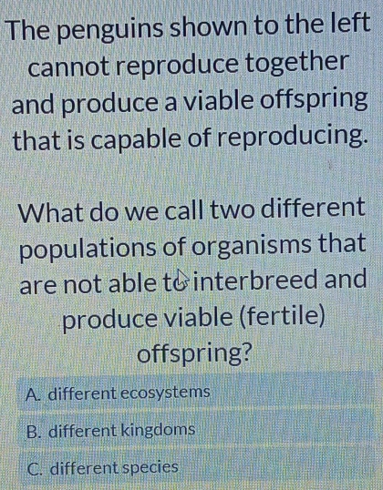 The penguins shown to the left
cannot reproduce together
and produce a viable offspring
that is capable of reproducing.
What do we call two different
populations of organisms that
are not able to interbreed and
produce viable (fertile)
offspring?
A. different ecosystems
B. different kingdoms
C. different species