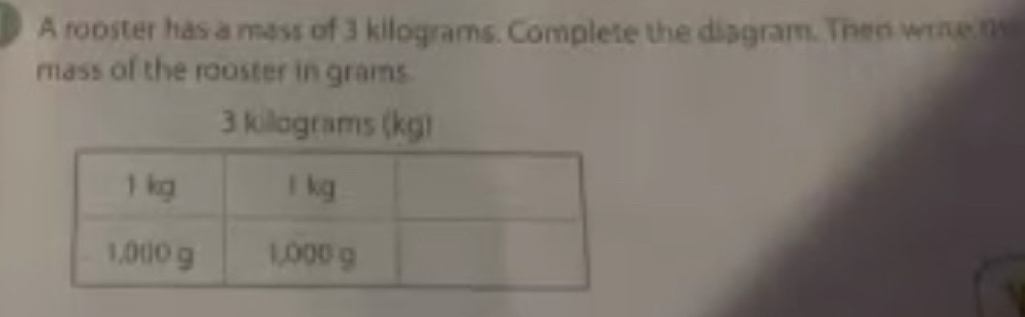 A rooster has a mass of 3 kilograms. Complete the diagram. Then wrie t 
mass of the rooster in grams.
3 killograms (kg)