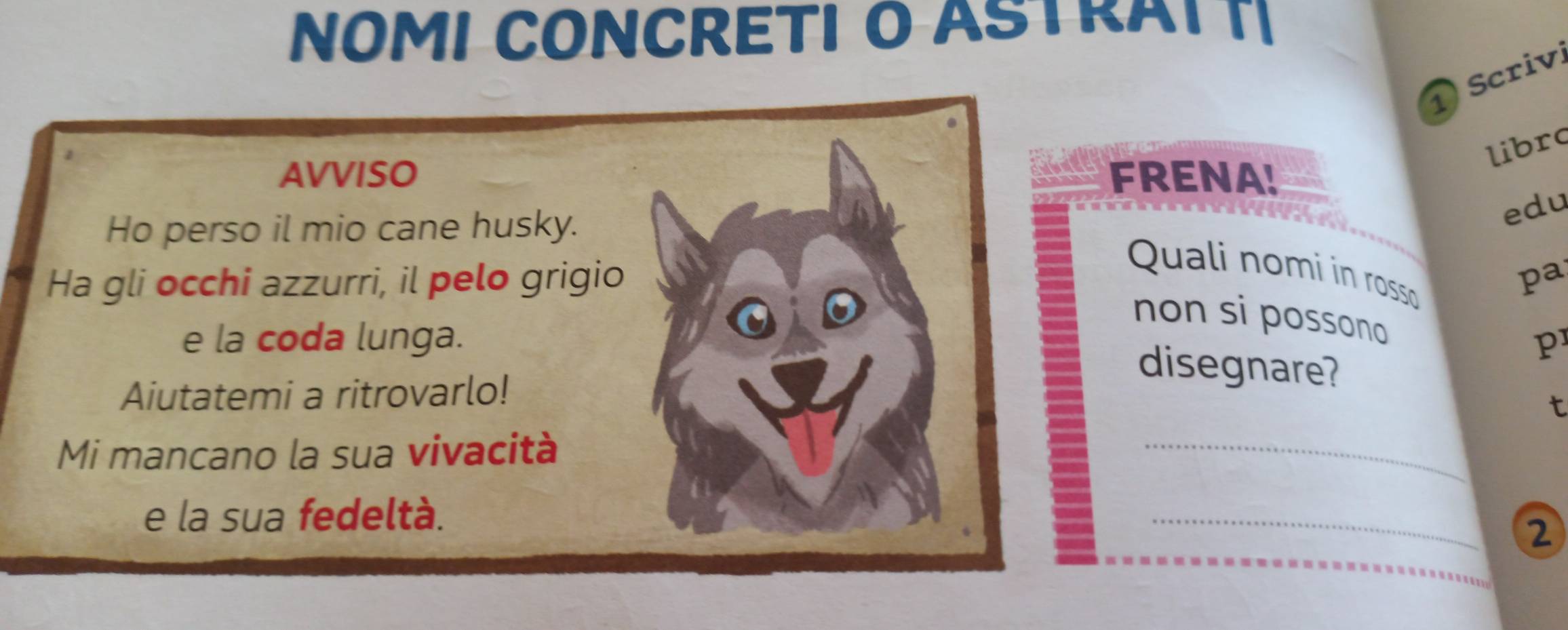 NOMI CONCRETI O ASTRAIT 
1) Scriv 
libra 
AVVISO FRENA! 
Ho perso il mio cane husky. 
edu 
Quali nomi in rosso 
Ha gli occhi azzurri, il pelo grigio pa 
non si possono 
e la coda lunga. p 
disegnare? 
Aiutatemi a ritrovarlo! 
t 
Mi mancano la sua vivacità 
_ 
e la sua fedeltà. 
_ 
2