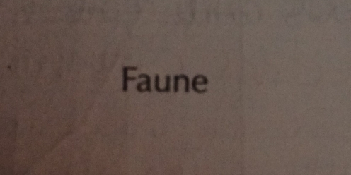 Faune