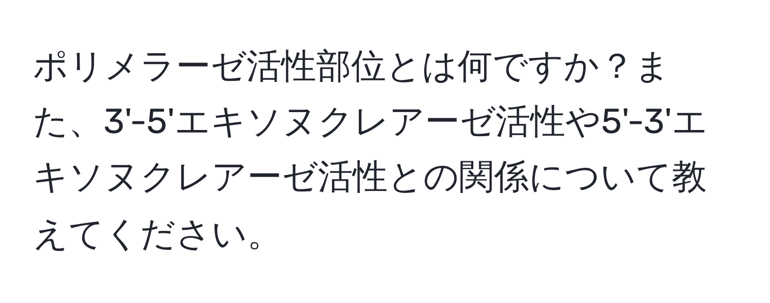 ポリメラーゼ活性部位とは何ですか？また、3'-5'エキソヌクレアーゼ活性や5'-3'エキソヌクレアーゼ活性との関係について教えてください。