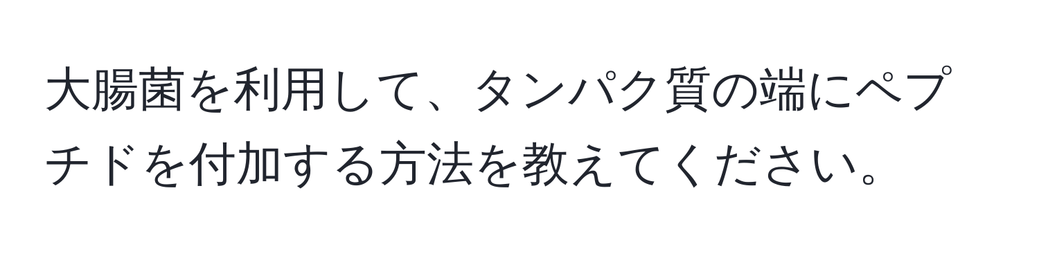 大腸菌を利用して、タンパク質の端にペプチドを付加する方法を教えてください。