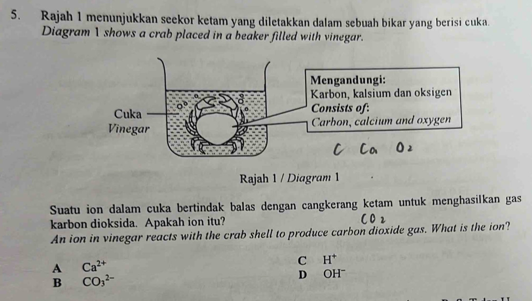 Rajah 1 menunjukkan seekor ketam yang diletakkan dalam sebuah bikar yang berisi cuka.
Diagram 1 shows a crab placed in a beaker filled with vinegar.
Rajah 1 / Diagram 1
Suatu ion dalam cuka bertindak balas dengan cangkerang ketam untuk menghasilkan gas
karbon dioksida. Apakah ion itu?
An ion in vinegar reacts with the crab shell to produce carbon dioxide gas. What is the ion?
A Ca^(2+)
C H^+
B CO_3^(2-)
D OHˉ