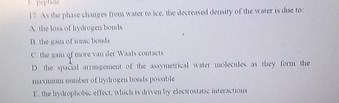 E. peptide
17. As the phase changes from water to ice, the decreased density of the water is due to:
A. the loss of hydrogen bonds
B. the gain of ionic bonds
C. the gain of more van der Waals contacts
D. the spacial arrangement of the assymetrical water molecules as they form the
maximum number of hydrogen bonds possible
E. the hydrophobic effect, which is driven by electrostatic interactions