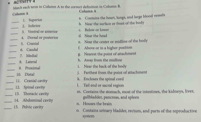 ACTIVITY 4
Match each term in Column A to the correct definition in Column B.
Column A
Column A
1. Superior a. Contains the heart, lungs, and large blood vessels
_
_2. Inferior b. Near the surface or front of the body
_
3. Ventral or anterior c. Below or lower
_4. Dorsal or posterior d. Near the head
_5. Cranial e. Near the center or midline of the body
_
6. Caudal f. Above or in a higher position
_
7. Medial g. Nearest the point of attachment
_
8. Lateral h. Away from the midline
_9. Proximal i. Near the back of the body
_10. Distal j. Farthest from the point of attachment
_11. Cranial cavity k. Encloses the spinal cord
_12. Spinal cavity l. Tail end or sacral region
_13. Thoracic cavity m. Contains the stomach, most of the intestines, the kidneys, liver,
gallbladder, pancreas, and spleen
_14. Abdominal cavity n. Houses the brain
_15. Pelvic cavity o. Contains urinary bladder, rectum, and parts of the reproductive
system