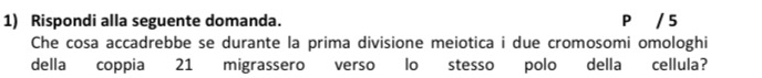 Rispondi alla seguente domanda. P / 5
Che cosa accadrebbe se durante la prima divisione meiotica i due cromosomi omologhi 
della coppia 21 migrassero verso lo stesso polo della cellula?