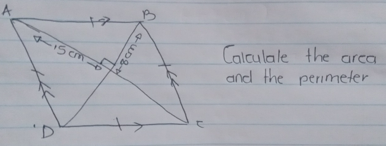 Calculale the area 
and the perimeter