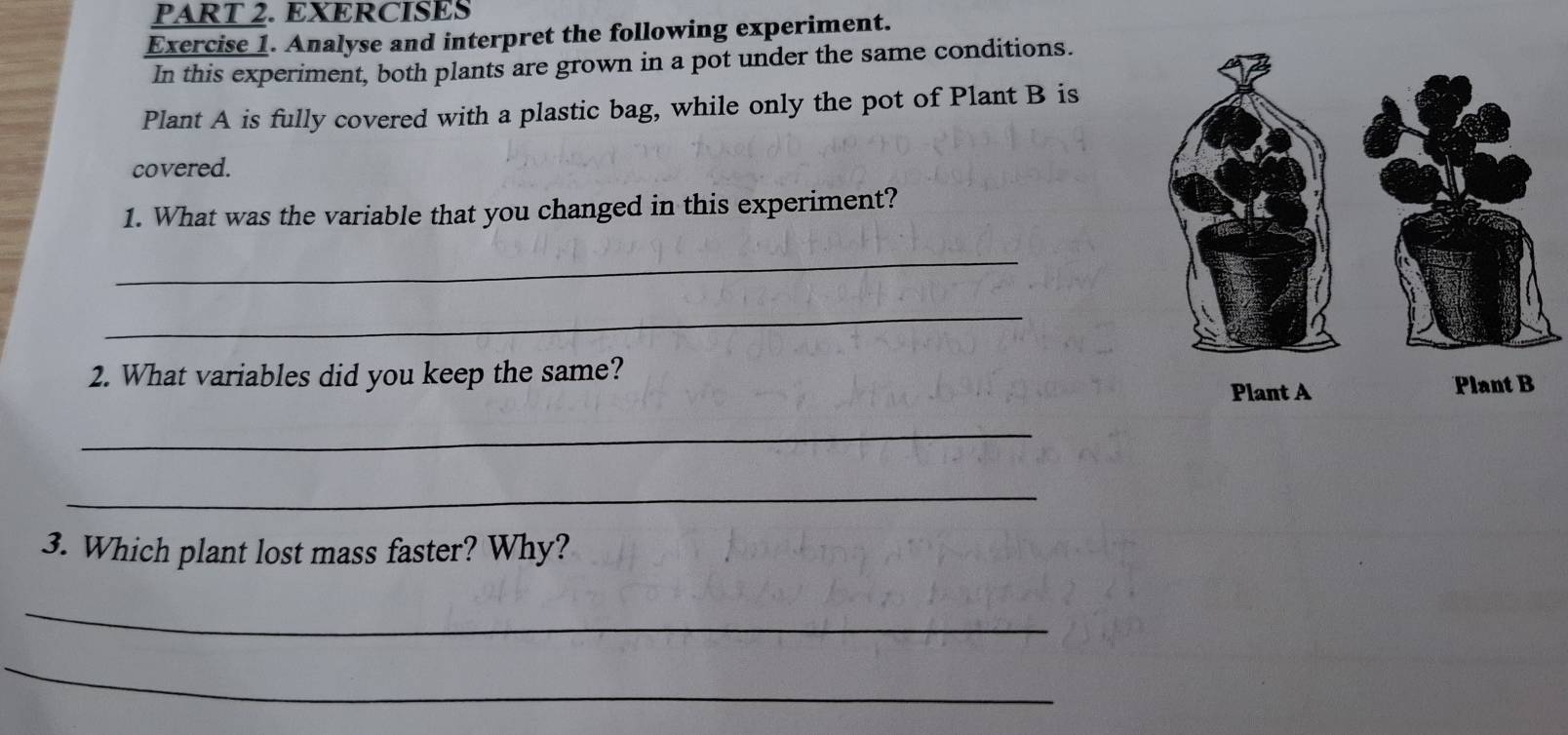 EXERCISES 
Exercise 1. Analyse and interpret the following experiment. 
In this experiment, both plants are grown in a pot under the same conditions. 
Plant A is fully covered with a plastic bag, while only the pot of Plant B is 
covered. 
1. What was the variable that you changed in this experiment? 
_ 
_ 
2. What variables did you keep the same? 
_ 
_ 
3. Which plant lost mass faster? Why? 
_ 
_