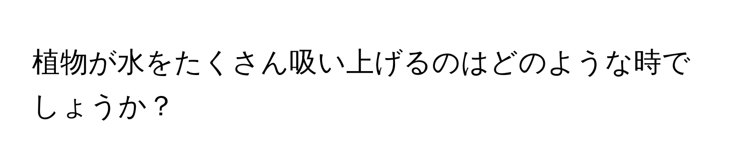 植物が水をたくさん吸い上げるのはどのような時でしょうか？