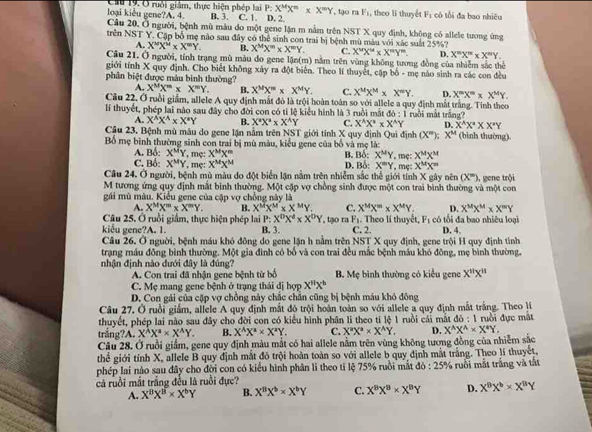 Ch 19. Ở ruôi giảm, thực hiện phép lai P: X^MX^m* X^mY , tạo ra F_1 theo lí thuyết Fị có tối đa bao nhiều
loại kiểu gene?A. 4. B. 3. C. 1. D. 2.
Câu 20. Ở người, bệnh mù màu do một gene lặn m nằm trên NST X quy định, không có allele tưong ứng
trên NST Y. Cặp bố mẹ nào sau đây có thể sinh con trai bị bệnh mù màu với xác suất 25%?
A. X^MX^M* X^mY. B. X^MX^m* X^mY. C. X^MX^M* X^mY^m. D. X''XX''X* X''Y.
Câu 21. Ở người, tính trạng mù màu do gene lặn(m) nằm trên vùng không tương đồng của nhiễm sắc thể
giới tính X quy định. Cho biết không xảy ra đột biển. Theo lí thuyết, cập bố - mẹ nào sinh ra các con đều
phân biệt được màu bình thường?
A. X^MX^m* X^mY. B. X^MX^m* X^MY. C. X^MX^M* X^mY. D. X^mX^m* X^MY.
Câu 22. Ở ruồi giấm, allele A quy định mắt đỏ là trội hoàn toàn so với allele a quy định mắt trắng. Tính theo
lí thuyết, phép lai nào sau đây cho đời con có tỉ lệ kiểu hình là 3 ruồi mắt do:1 ruồi mắt trắng?
A. X^AX^A* X^aY B. X^aX^a* X^AY C. X^(wedge)X^a* X^(wedge)Y D. X^(wedge)X^(wedge)X^(wedge Y)Y
Câu 23. Bệnh mù màu do gene lặn nằm trên NST giới tính X quy định Qui định (X^m);X^M (bình thường).
Bố mẹ bình thường sinh con trai bị mù màu, kiểu gene của bố và mẹ là:
A. Bố: X^MY , mẹ: X^MX^m B. Bố: X^MY , mç: X^MX^M
C. Bố: X^MY , mę: X^MX^M D. Bố: X'''Y , mẹ: X^MX^m
Câu 24. Ở người, bệnh mù màu do đột biển lận nằm trên nhiễm sắc thể giới tính X gây nên (X^m)
M tương ứng quy định mất bình thường. Một cặp vợ chồng sinh được một con trai bình thường và một con , gene trội
gái mù màu. Kiểu gene của cập vợ chồng này là
A. X^MX^m* X^mY. B. X^MX^M* X^MY. C. X^MX^m* X^MY. D. X^MX^M* X^mY
Câu 25. Ở ruồi giầm, thực hiện phép lai P: X^DX^d* X^DY
kiểu gene?A. 1. B. 3. , tạo ra F_1. Theo li thuyết, F_1 có tối đa bao nhiêu loại
C. 2. D. 4.
Câu 26. Ở người, bệnh máu khó đông do gene lặn h nằm trên NST X quy định, gene trội H quy định tỉnh
trạng máu đông bình thường. Một gia đình có bố và con trai đều mắc bệnh máu khó đông, mẹ bình thường,
nhận định nào đưới đây là đúng?
A. Con trai đã nhận gene bệnh từ bố  B. Mẹ bình thường có kiểu gene X''X''
C. Mẹ mang gene bệnh ở trạng thái dị hợp X''X^h
D. Con gải của cặp vợ chồng này chắc chắn cũng bị bệnh máu khô đông
Câu 27. Ở ruồi giấm, allele A quy định mắt đỏ trội hoàn toàn so với allele a quy định mắt trắng. Theo lí
thuyết, phép lai nào sau đây cho đời con có kiểu hình phân li theo ti lệ 1 ruồi cái mắt đở 6:1
trắng?A. X^AX^a* X^AY. B. X^AX^a* X^aY. C. X^aX^a* X^AY. D. X^(wedge)X^(wedge)* X^(ast)Y. ruồi đực mắt
Câu 28. Ở ruồi giẩm, gene quy định màu mắt có hai allele nằm trên vùng không tương đồng của nhiễm sắc
thể giới tính X, allele B quy định mắt đô trội hoàn toàn so với allele b quy định mắt trắng. Theo lí thuyết.
phép lai nào sau đây cho đời con có kiểu hình phân li theo tỉ lệ 75% ruồi mắt đỏ : 25% ruồi mắt trắng và tất
cả ruồi mắt trắng đều là ruồi đực?
A. X^BX^B* X^bY B. X^BX^b* X^bY C. X^BX^B* X^BY D. X^8X^b* X^BY