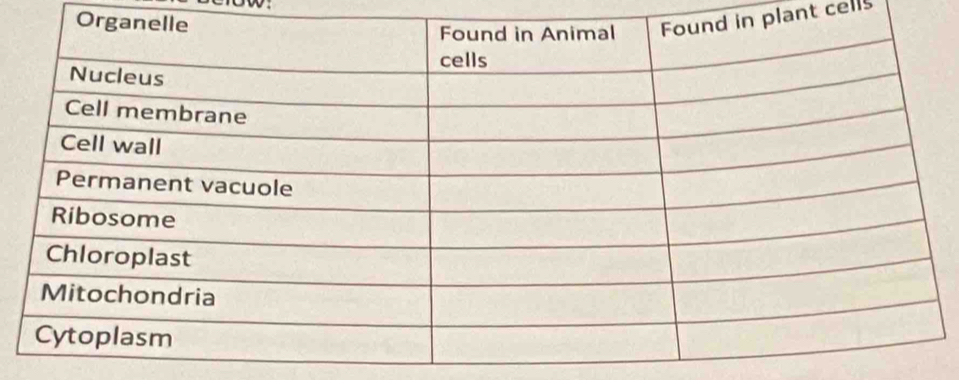 plant cells