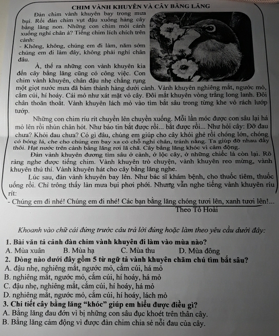 Giải quyết:chim vành khuyên và cây bảng lăng Đàn chim vành khuyên bay ...