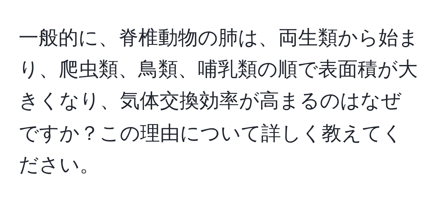 一般的に、脊椎動物の肺は、両生類から始まり、爬虫類、鳥類、哺乳類の順で表面積が大きくなり、気体交換効率が高まるのはなぜですか？この理由について詳しく教えてください。