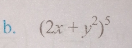 (2x+y^2)^5