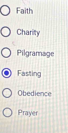 Faith
Charity
Pilgramage
Fasting
Obedience
Prayer