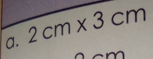 2cm* 3cm