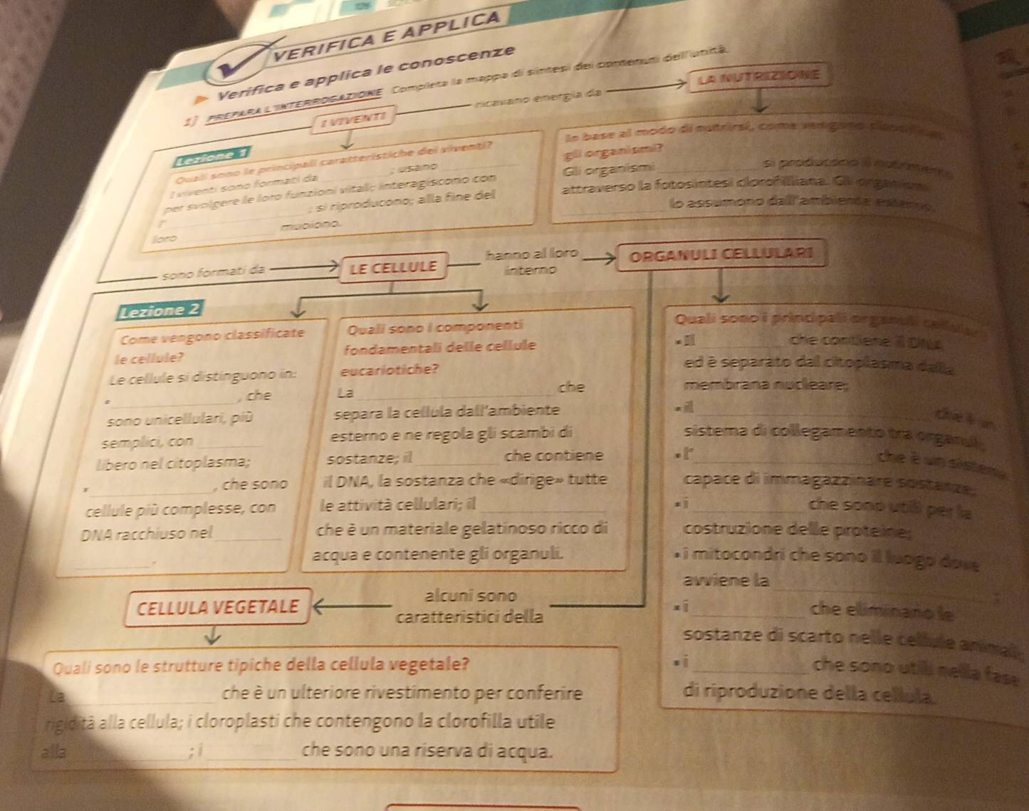 VERÍFICA E APPLICA
Verifica e applica le conoscenze
La NUTRIZIONE
1 PREPARA LINTERROGAZIONE. Completa la mappa di sintesi del conenuti dellunità
ncavano energía da
I VIVENTI
le base al modo di nstrirsl, come senganó slansifical
Lctionea
Quali sono le principali caratteristiche dei viventi?
I viventi sono formati da ;usano gli organismi?
per svolgere e loro funzioni vitali; interagiscono con Gli organismi
Si profucócó a nofómens
; si riproducono; alla fine del attraverso la fotosintesi clorof liana. Ge organion
lo assumono dall'ambience estero
loro_ _maciono.
sono formati da LE CELLULE hanno al loro ORGANULI CELLULARI
intero
Lezione 2
_
Come vengono classificate Quali sono I componenti
Quali sono i principali organali calula
le cellule? fondamentali delle cellule
_che contiene 1 Ds
Le cellule si distínguono in: eucariotiche?
ed è separato dal citoplasma dalia
_
, che La _che
membrana nucleare;
sono unicellulari, più separa la cellula dall'ambiente_
cek an
semplici, con _esterno e ne regola gli scambi di sistema di collegamento tra organul 
libero nel citoplasma; sostanze; il _che contiene _che è un sisten e
_, che sono il DNA, la sostanza che «dirige» tutte capace di immagazzinare sostatze
cellule più complesse, con le attività cellulari; il __che soop util per la
DNA racchiuso nel_ che è un materiale gelatinoso ricco di costruzione delle proteine;
_
* i mitocondri che sono il luogo dove
,
acqua e contenente gli organuli.
avviene la
alcuni sono
.
_
CELLULA VEGETALE _che eliminano le
caratteristici della
sostanze di scarto nelle cellule anima 
Quali sono le strutture tipiche della cellula vegetale?  _che sono utill nella fase
La_ che è un ulteriore rivestimento per conferire di riproduzione della cellula.
rigidità alla cellula; i cloroplasti che contengono la clorofilla utile
alla_ ; i _che sono una riserva di acqua.