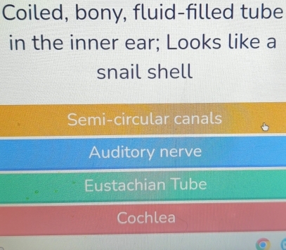 Coiled, bony, fluid-filled tube
in the inner ear; Looks like a
snail shell
Semi-circular canals
Auditory nerve
Eustachian Tube
Cochlea