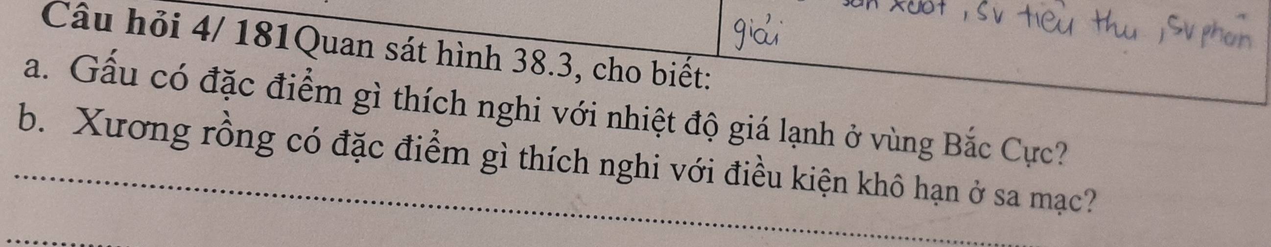 Câu hỏi 4/ 181Quan sát hình 38.3, cho biết: 
a. Gấu có đặc điểm gì thích nghi với nhiệt độ giá lạnh ở vùng Bắc Cực? 
b. Xương rồng có đặc điểm gì thích nghi với điều kiện khô hạn ở sa mạc?