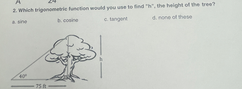 A 24
2. Which trigonometric function would you use to find "h", the height of the tree?
a. sine b. cosine c. tangent d. none of these
75 ft