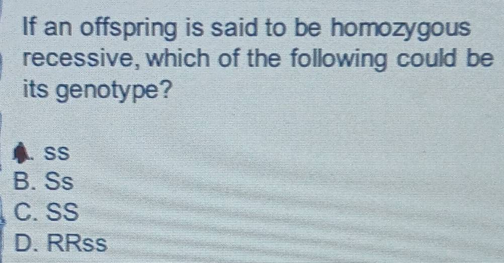 If an offspring is said to be homozygous
recessive, which of the following could be
its genotype?. SS
B. Ss
C. SS
D. RRss