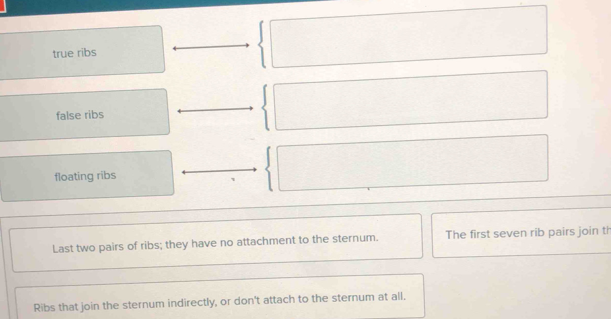 true ribs
false ribs
floating ribs
Last two pairs of ribs; they have no attachment to the sternum. The first seven rib pairs join th
Ribs that join the sternum indirectly, or don't attach to the sternum at all.