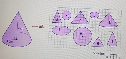 Scale (cm)
0 1 2 E