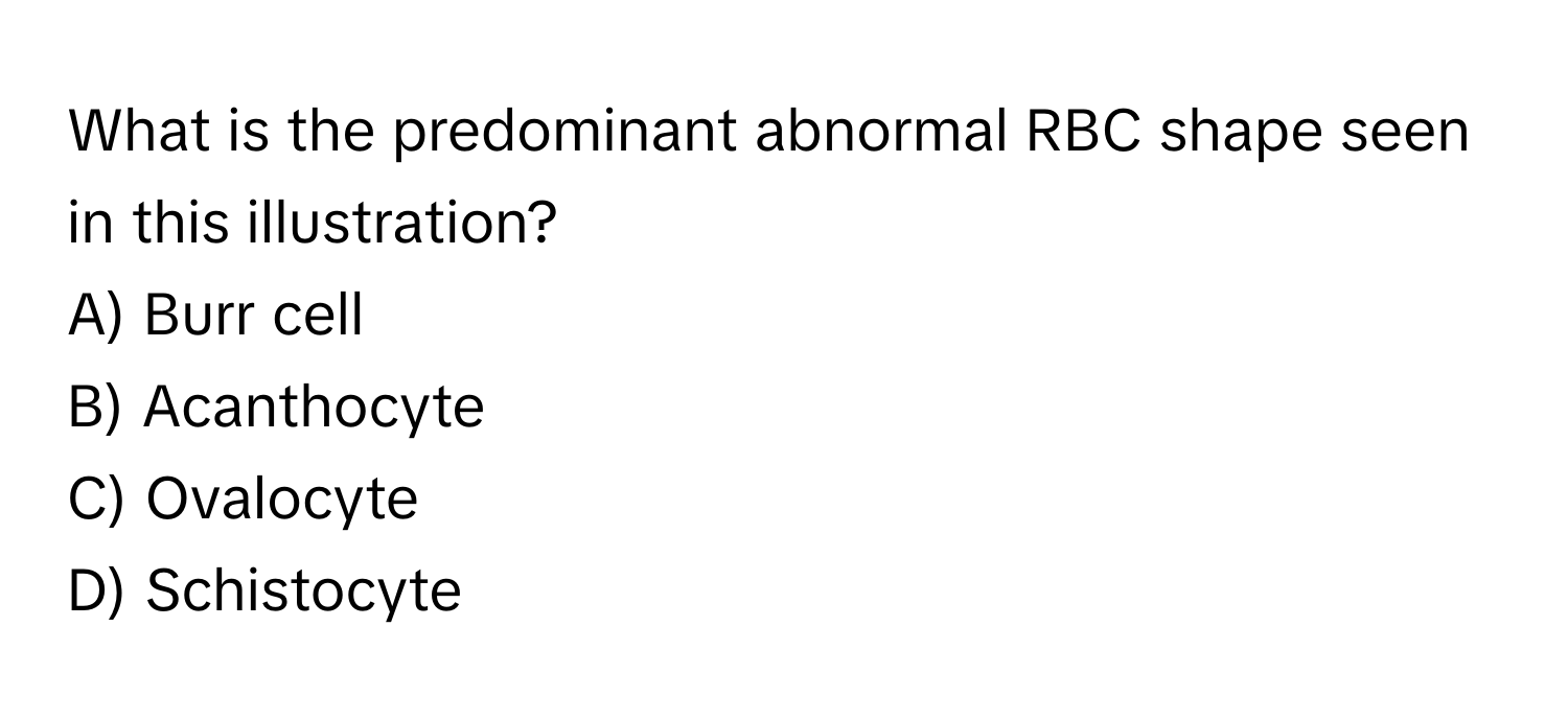 What is the predominant abnormal RBC shape seen in this illustration?

A) Burr cell
B) Acanthocyte
C) Ovalocyte
D) Schistocyte